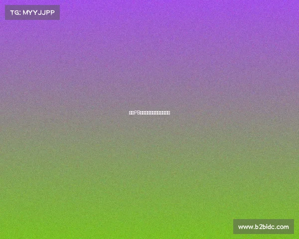 赛事PB突破自我极限成就辉煌征程